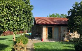 The Olive Tree Country Home